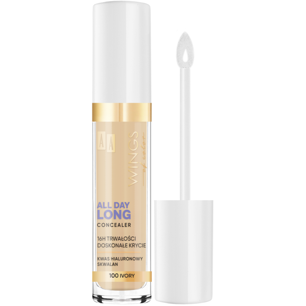 AA WINGS OF COLOR ALL DAY LONG CONCEALER 16H 6,2 G